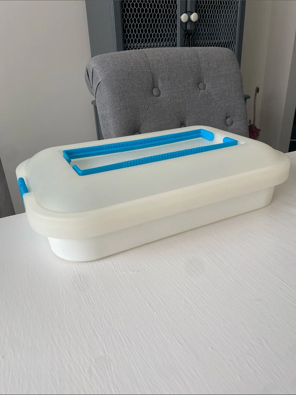 Tupperware Storage Container Cookies, Cakes, Cupcakes, Pies, Anything that Fits